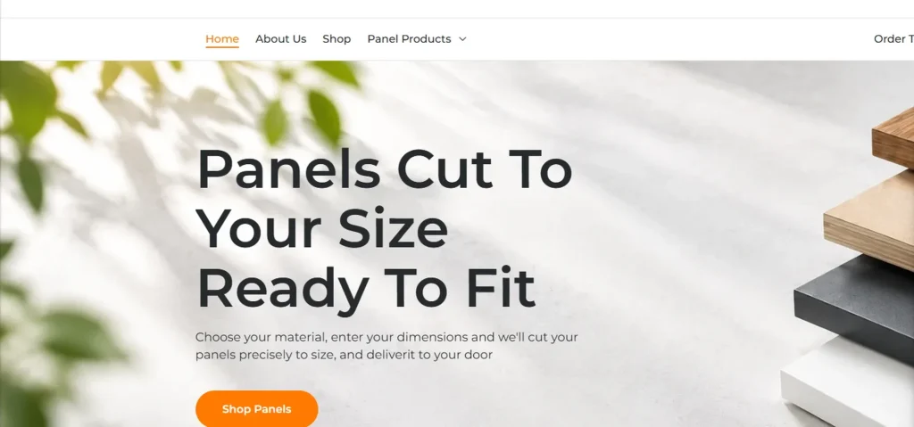Panel Fit Website Portfolio